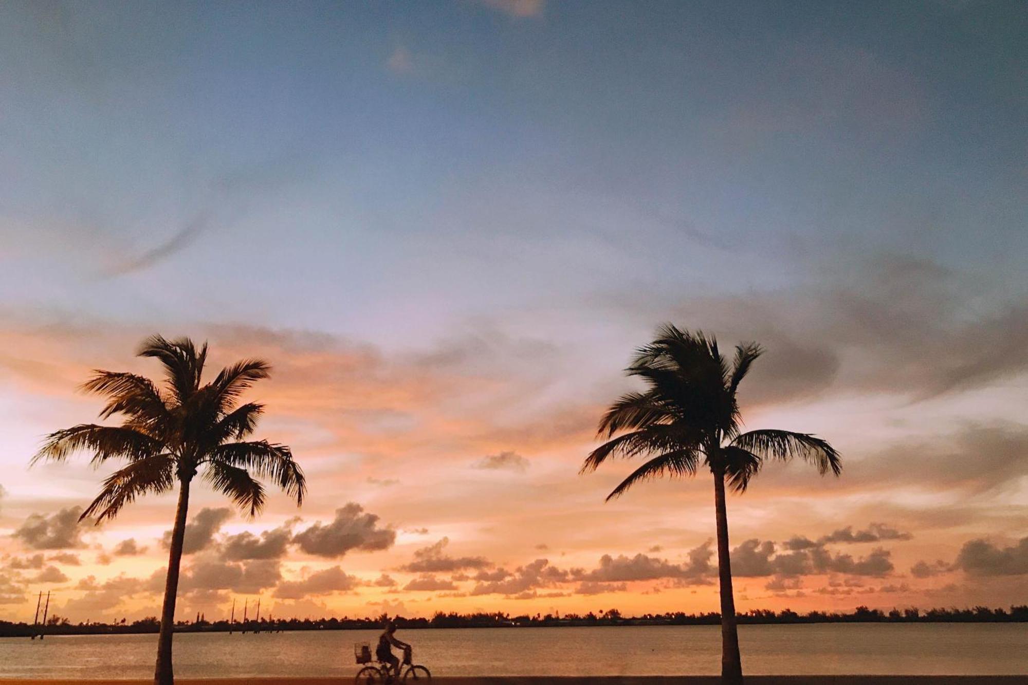 Truman Key West Rom bilde