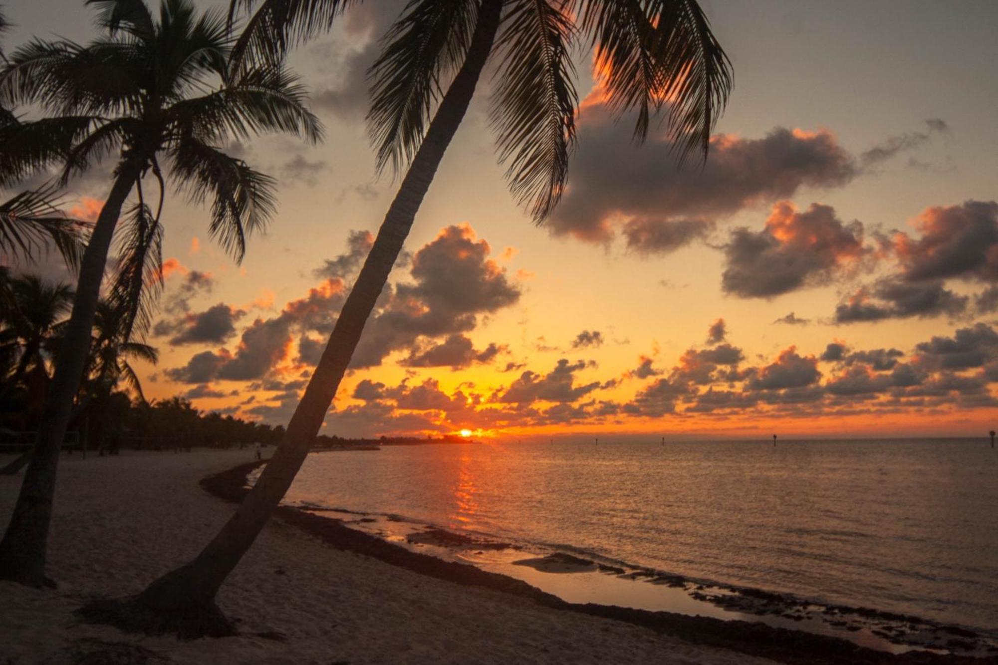 Truman Key West Rom bilde